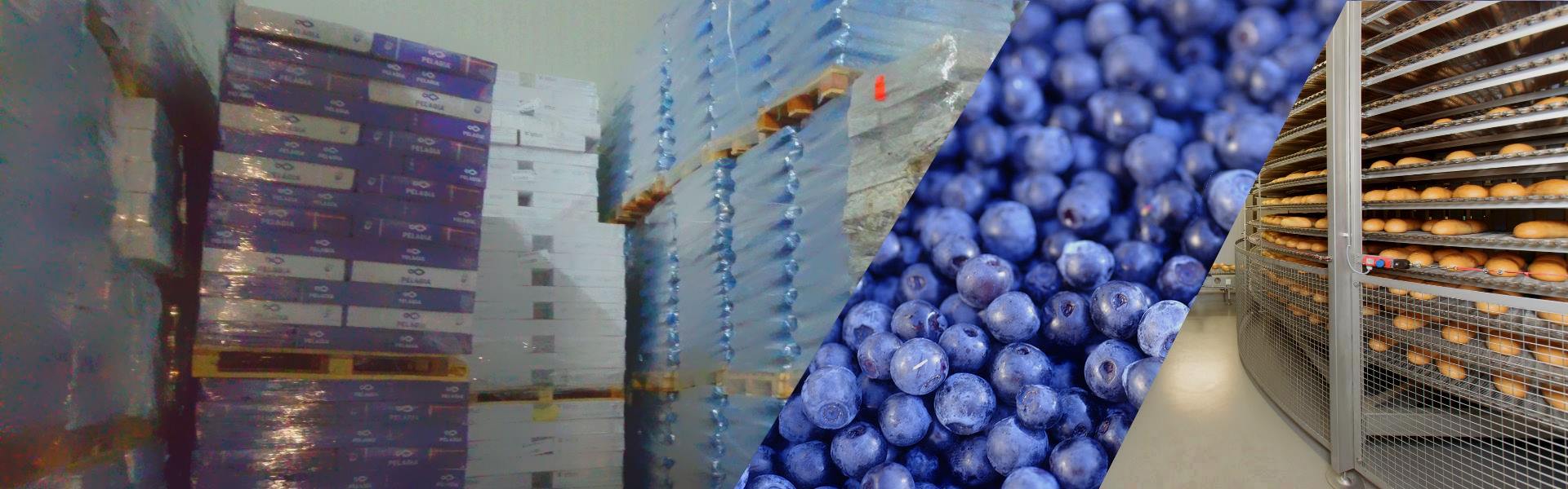 Fono paveiksliukas su užšaldyta produkcija ir užšaldymo spirale.